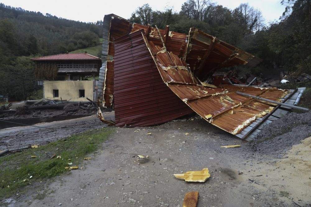 Temporal en Asturias: Un argayo sepulta una ganadería en Salas