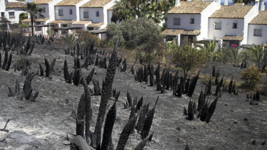 Vista de la zona afectada por el incendio que se ha producido hoy en la zona del Hacho, en la localidad malagueña de Manilva.