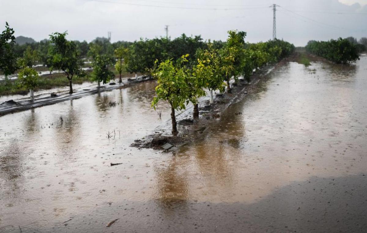 Protecció Civil alerta de pluges "intenses i torrencials"