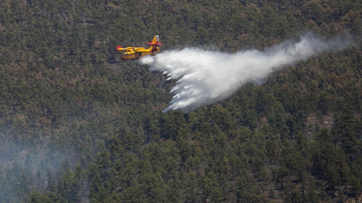 Labores de extinción del incendio forestal de Arico