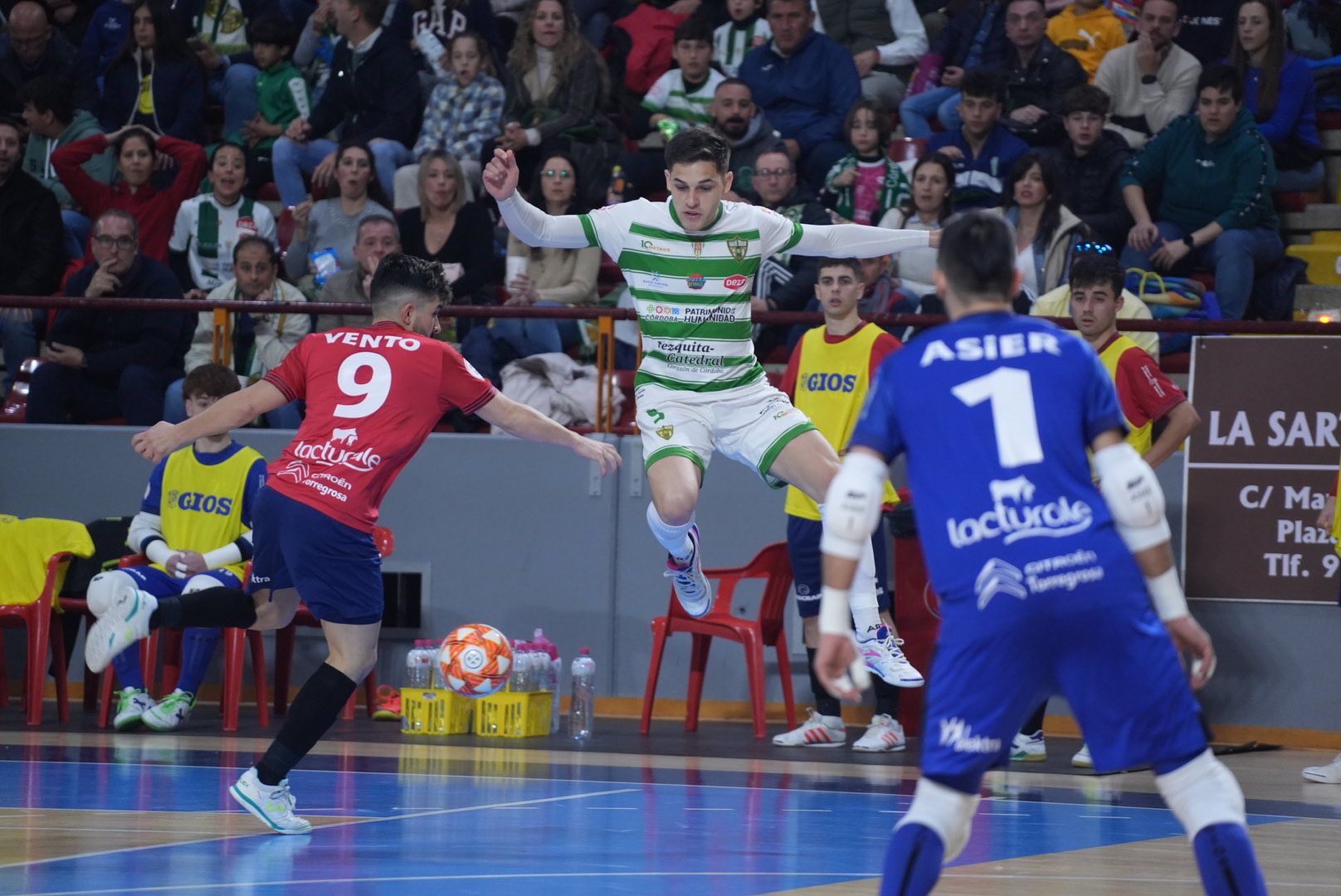 Las imágenes del Córdoba Futsal ante el Osasuna