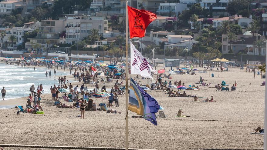 Benidorm prohíbe el baño en sus playas al avistar una carabela portuguesa