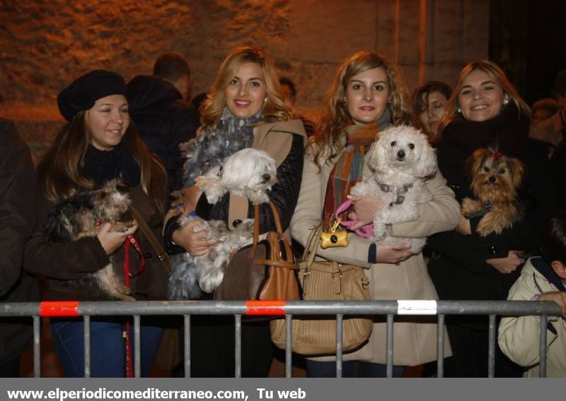 GALERÍA DE FOTOS -- Bendición de animales en Almassora