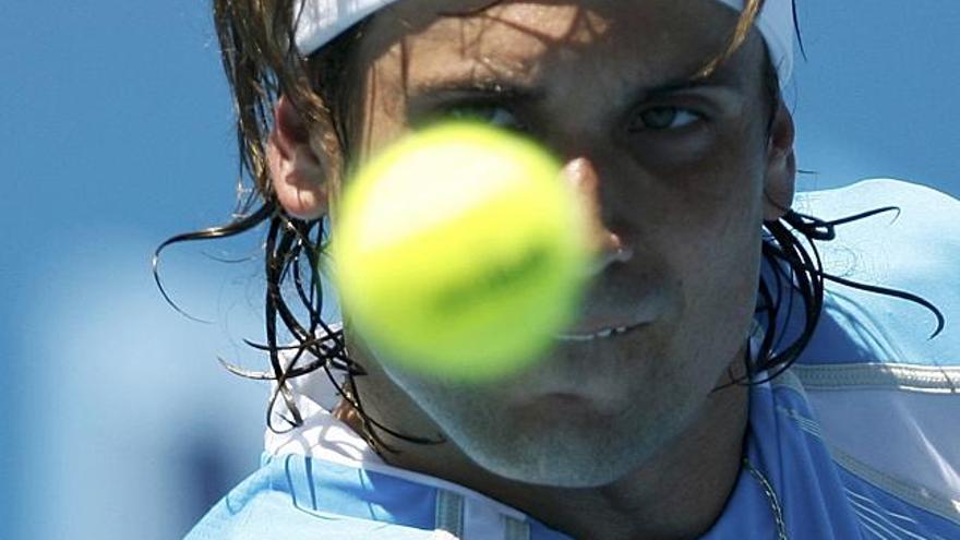 David Ferrer .
