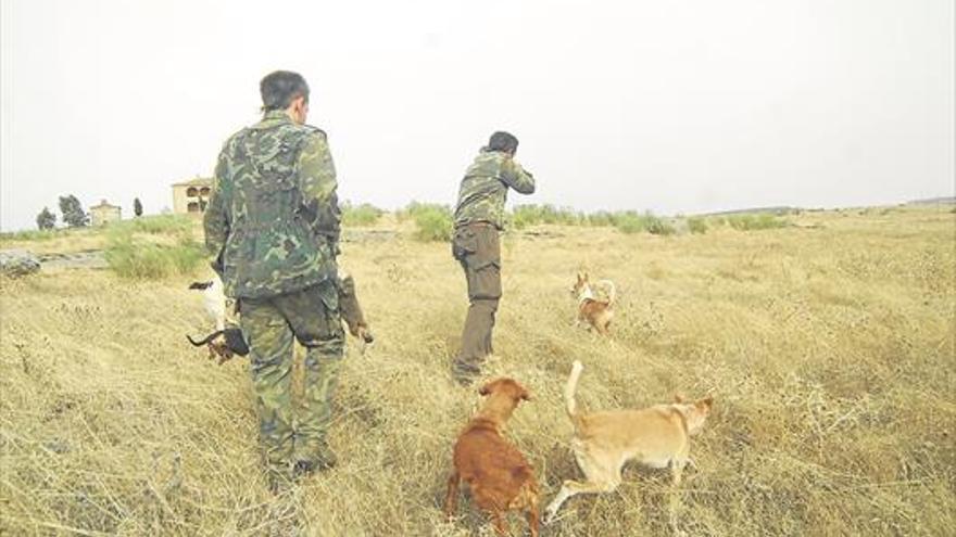 El sector cinegético extremeño urge iniciar un plan de apoyo a la caza menor