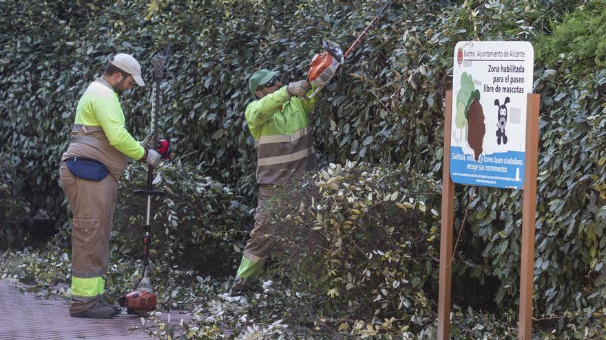 Trabajos en parques y jardines de Alicante