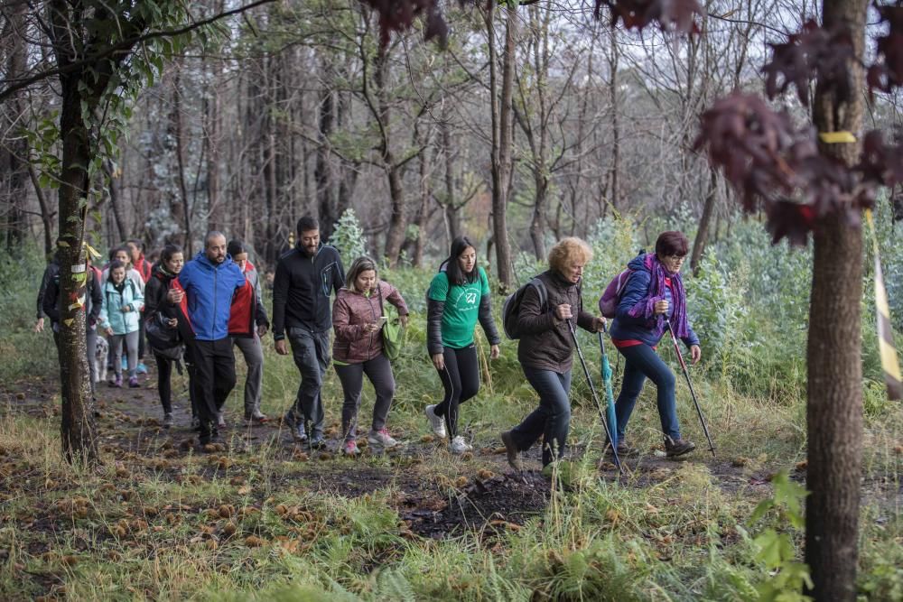 Más de medio millar de personas se citaron esta mañana en Coruxo para recorrer la zona quemada en octubre de 2017.