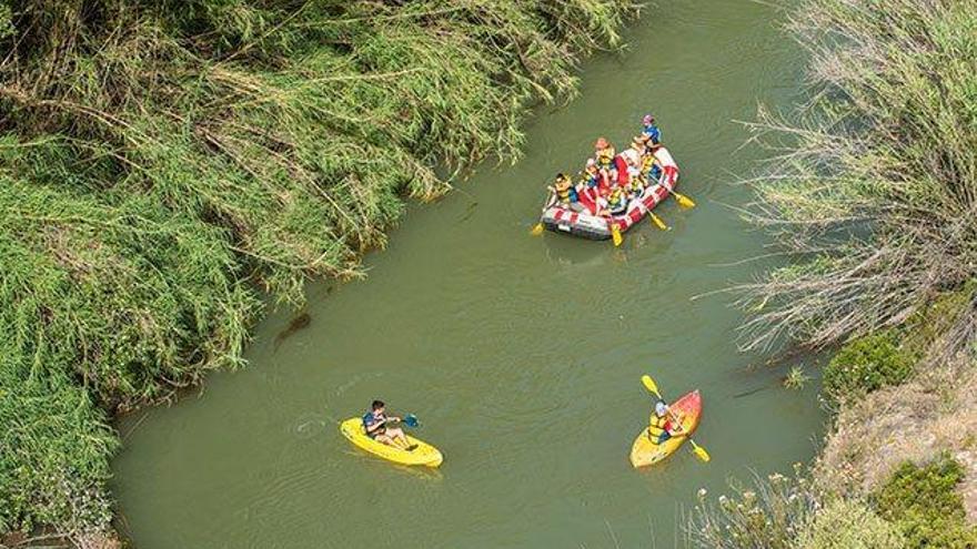 El descenso del Segura exhibe al bosque de ribera