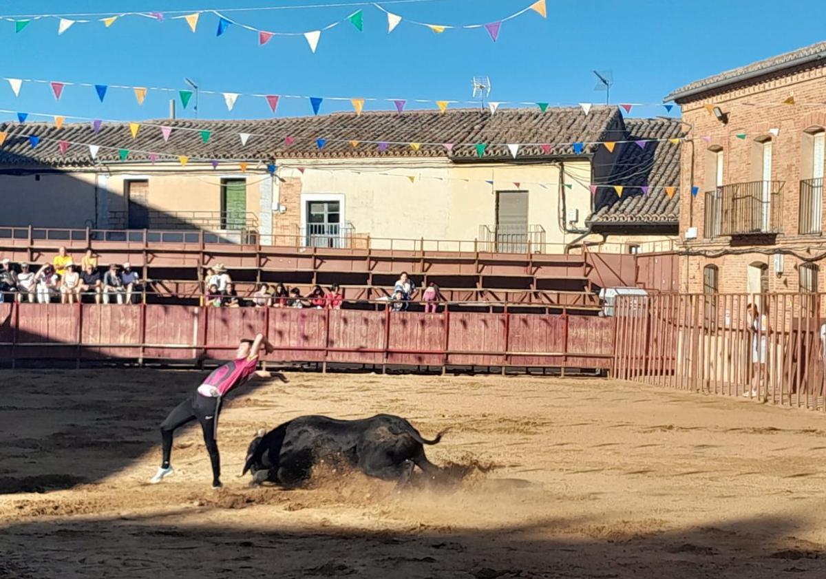 Concurso de quiebros en Morales de Toro en una edición pasada. | ARCHIVO