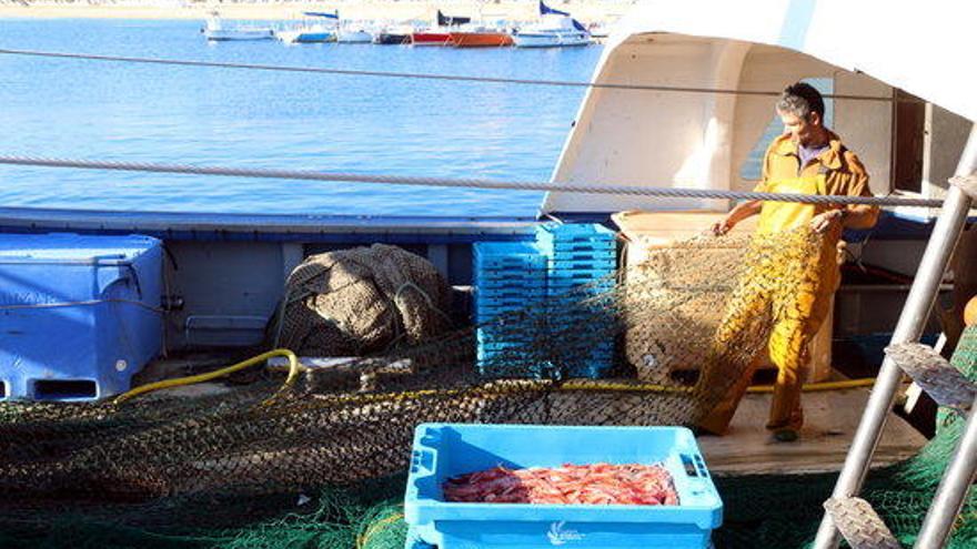 Arribada a port d&#039;una barca palamosina.