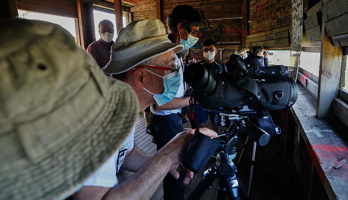 Ruta ornitológica en Cabo Peñas por el día mundial de las aves migratorias | MARA VILLAMUZA