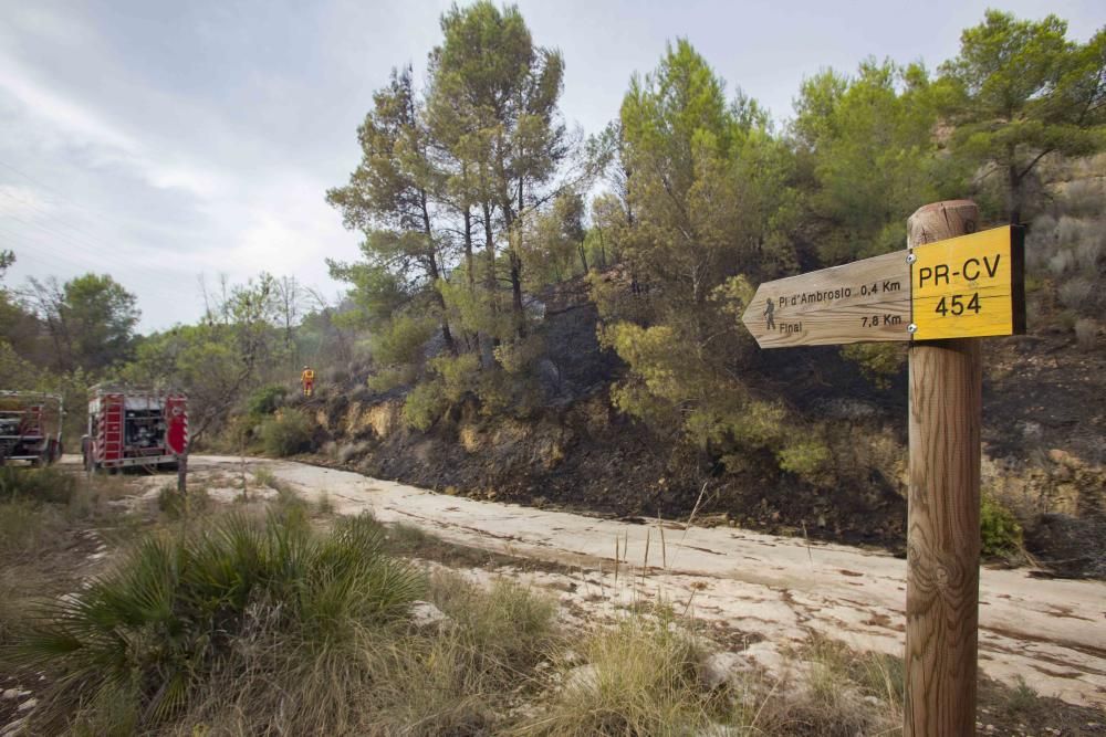 Incendio forestal en la zona el Pi d'Ambrosio de l'Ènova