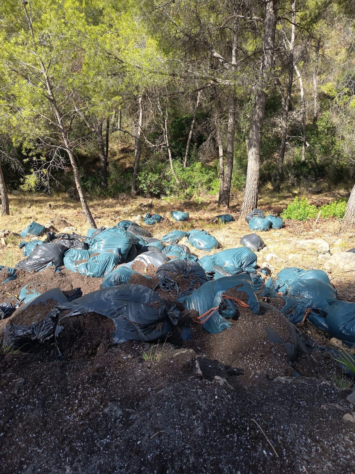 Bolsas de compuesto en el paraje