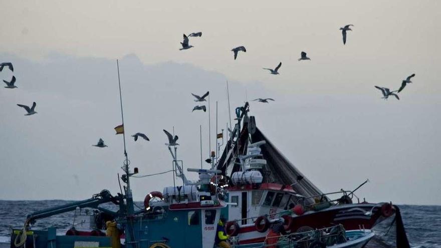 Un barco del cerco durante una jornada de faena.