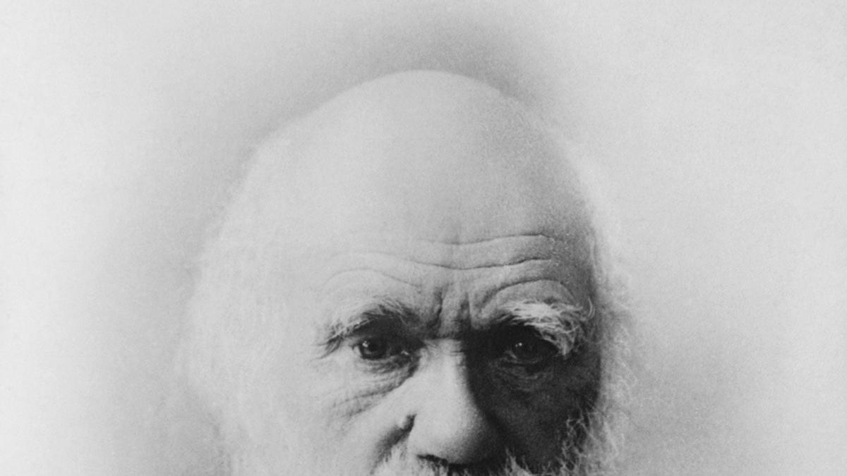 Charles Darwin