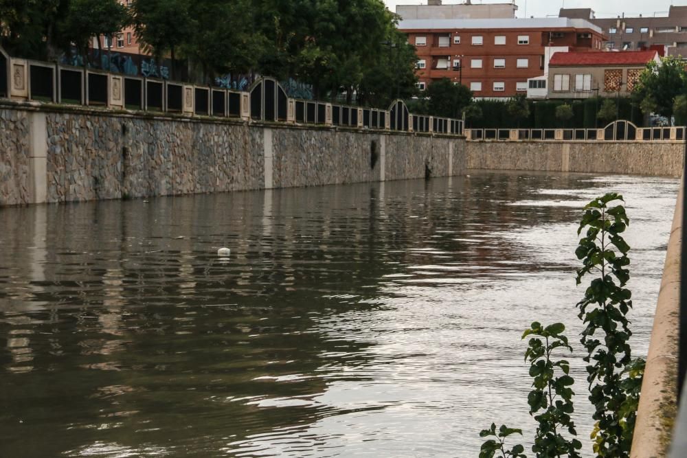 Crecida espectacular del río Segura a su paso por