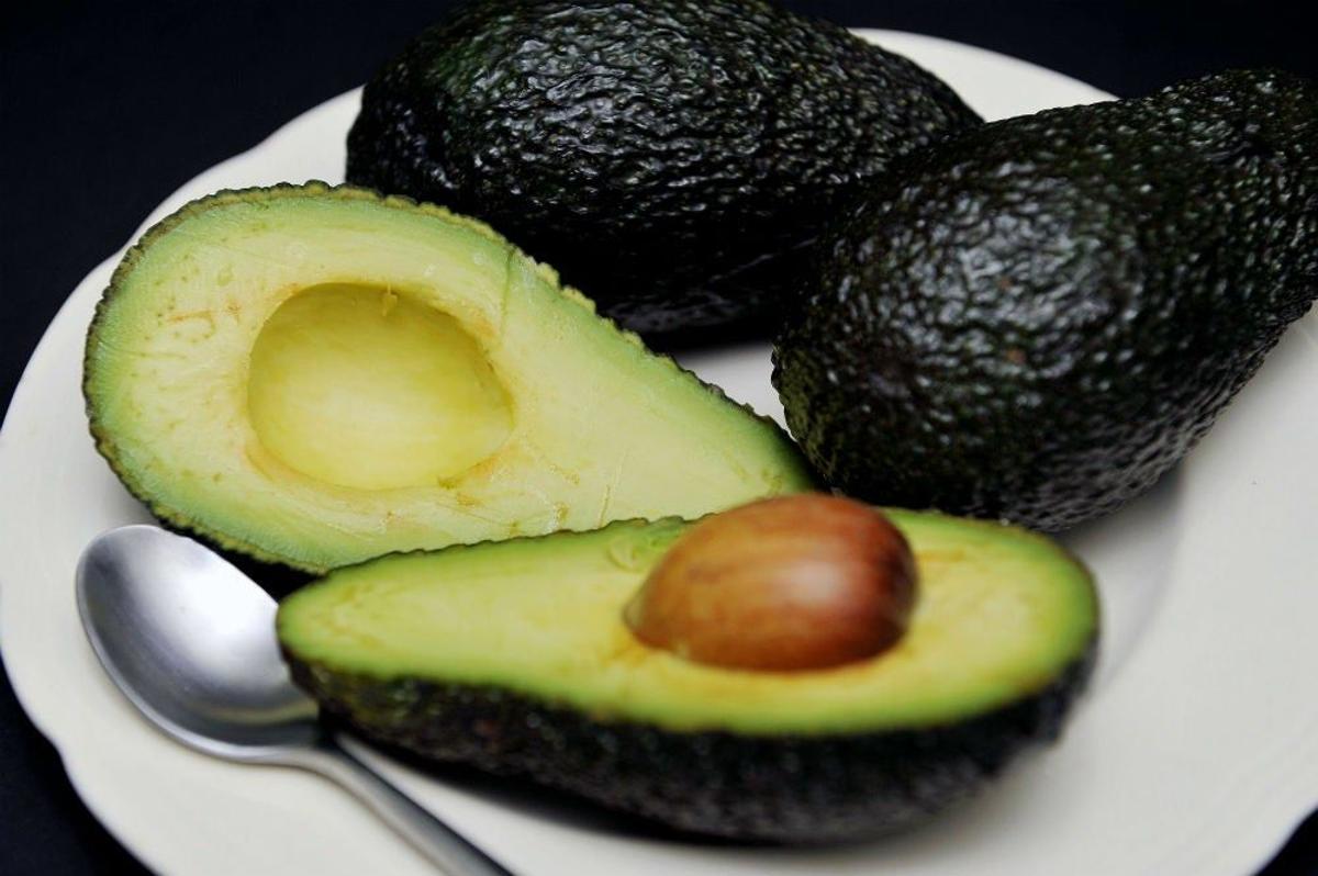 aguacate