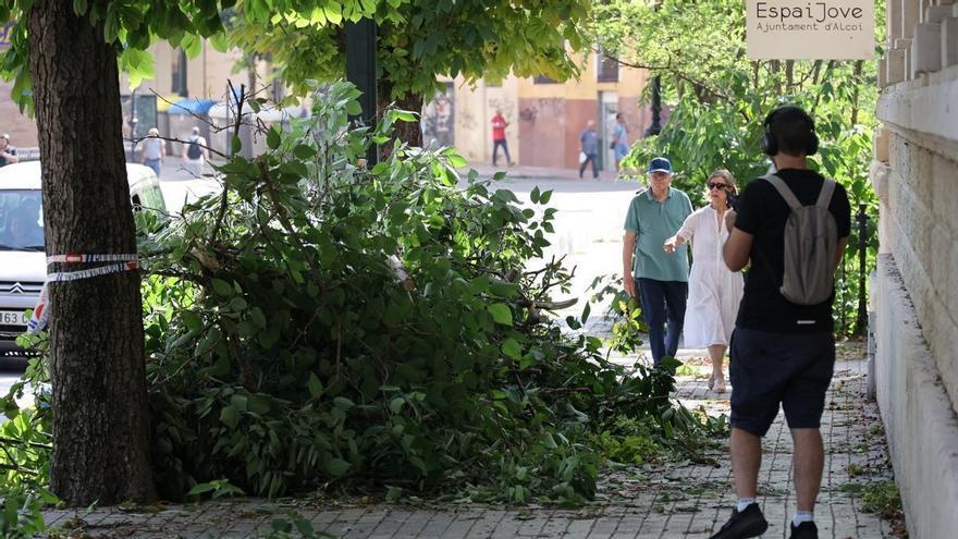 Alcoy, la zona cero del temporal: 32 intervenciones de los bomberos tras las rachas de 132 kilómetros por hora
