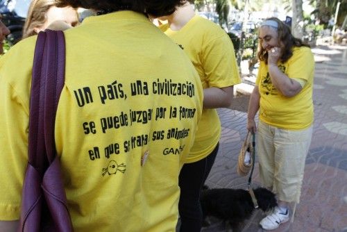 Jornada de juegos con perros - Diario de Ibiza