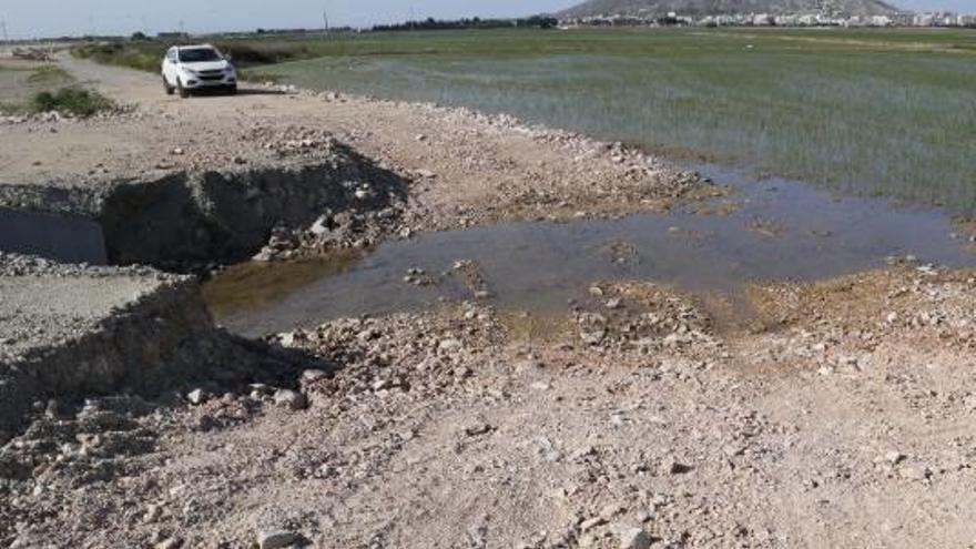 Las obras de la       A-38 dificultan el acceso a campos de arroz de Cullera