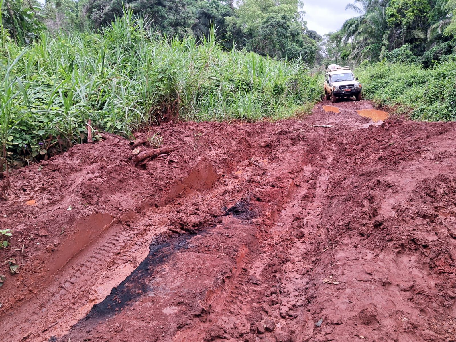 La Fundación Bangassou cumple 25 años