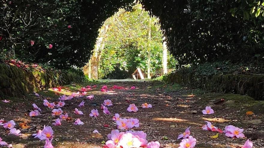 Ni Oxfordshire ni Bath: el jardín digno de 'Orgullo y Prejuicio' está a 15 minutos de Santiago y es gratis los lunes