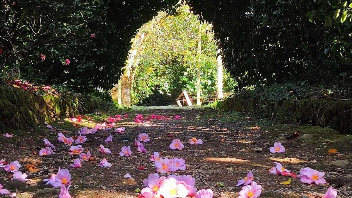 el jardín digno de ‘Orgullo y Prejuicio’ está a 15 minutos de Santiago y es gratis los lunes