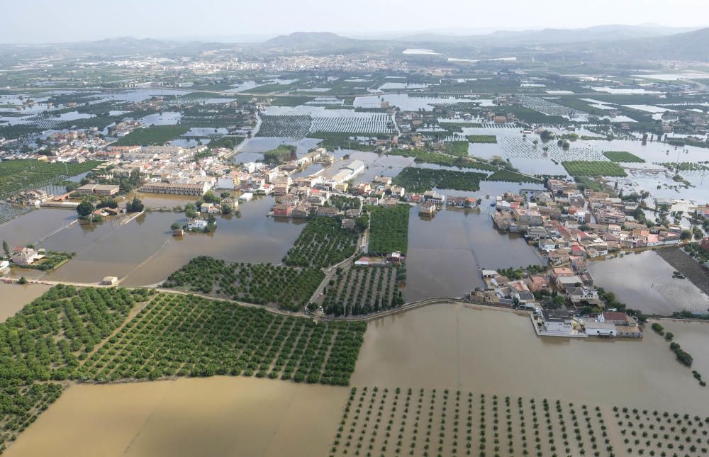 Más de cuatro mil hectáreas de terreno agrícola y urbano siguen anegadas por el agua. En estas imágenes la huerta de Orihuela