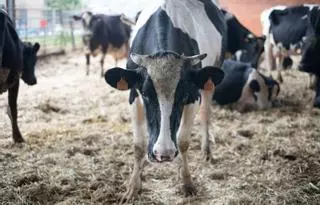 Seis de las once Unidades de Desarrollo Agrario tienen vacantes sin cubrir