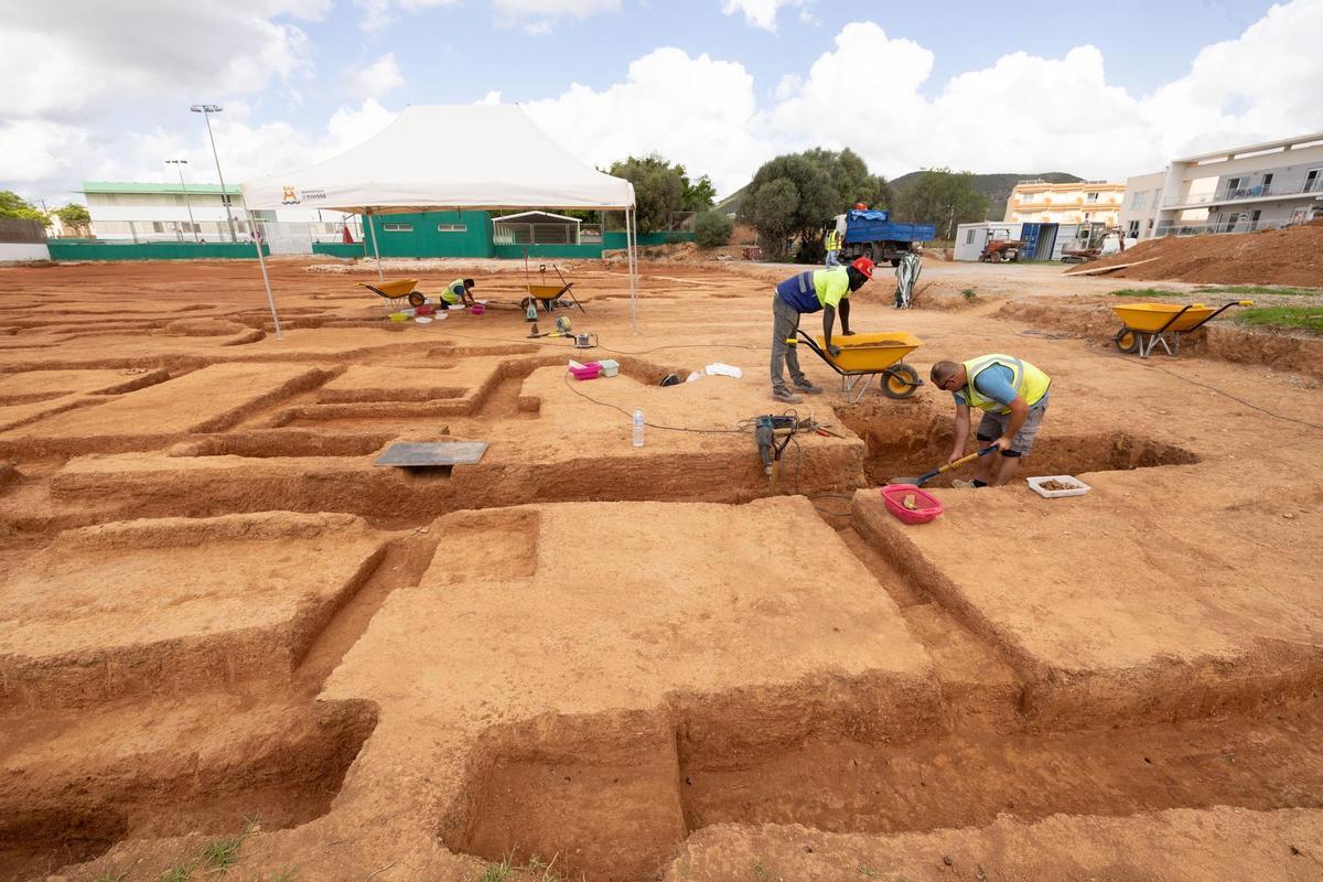 Can Cantó, una zona de cultivo para los púnicos en Ibiza