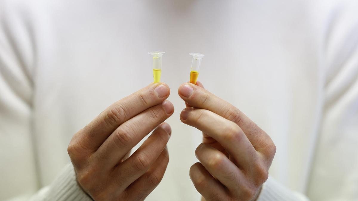 El nuevo sensor es capaz de detectar la presencia de escopolamina, una de las sustancias más utilizadas en delitos de sumisión química