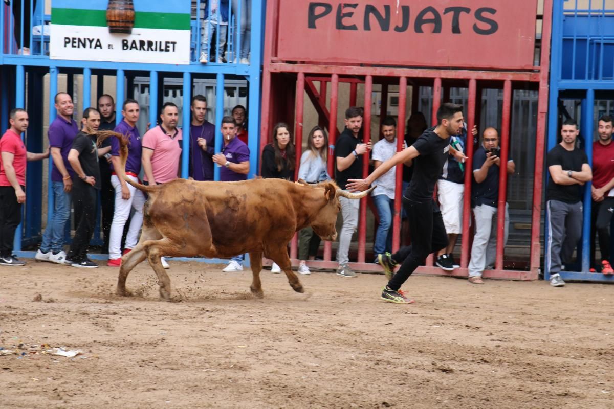 Fiestas patronales de Santa Quitèria de almassora III