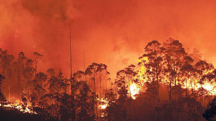 Las llamas en las Fragas do Eume alcanzaron grandes proporciones debido al viento y a la sequía que arrastra Galicia.  // Efe