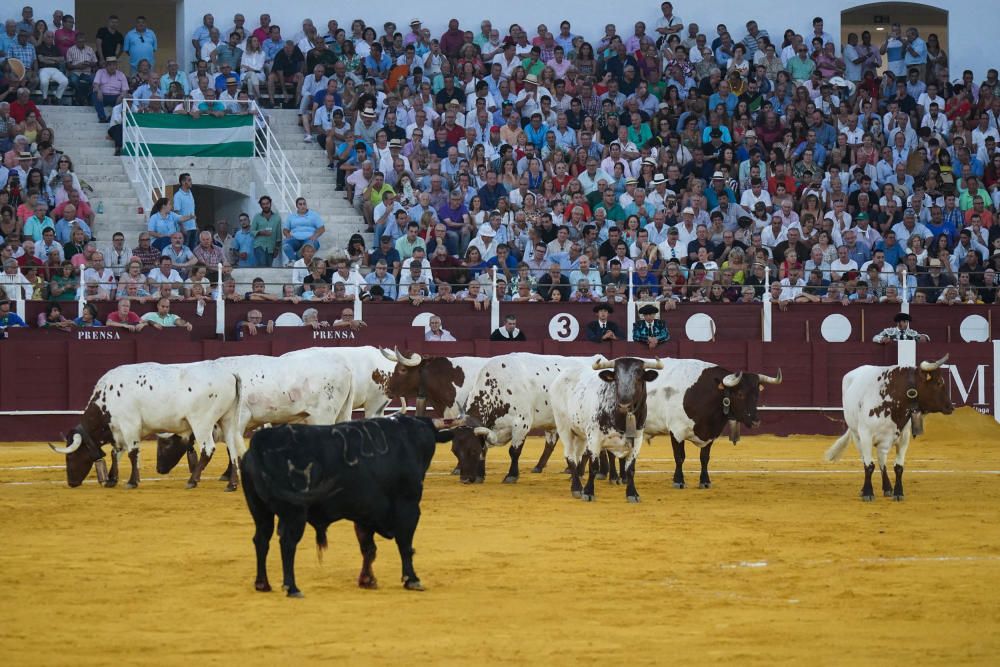 Cuarta de abono en la Feria Taurina de Málaga 2019