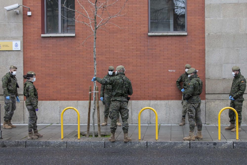 Las imágenes del Ejército de Tierra en Zamora