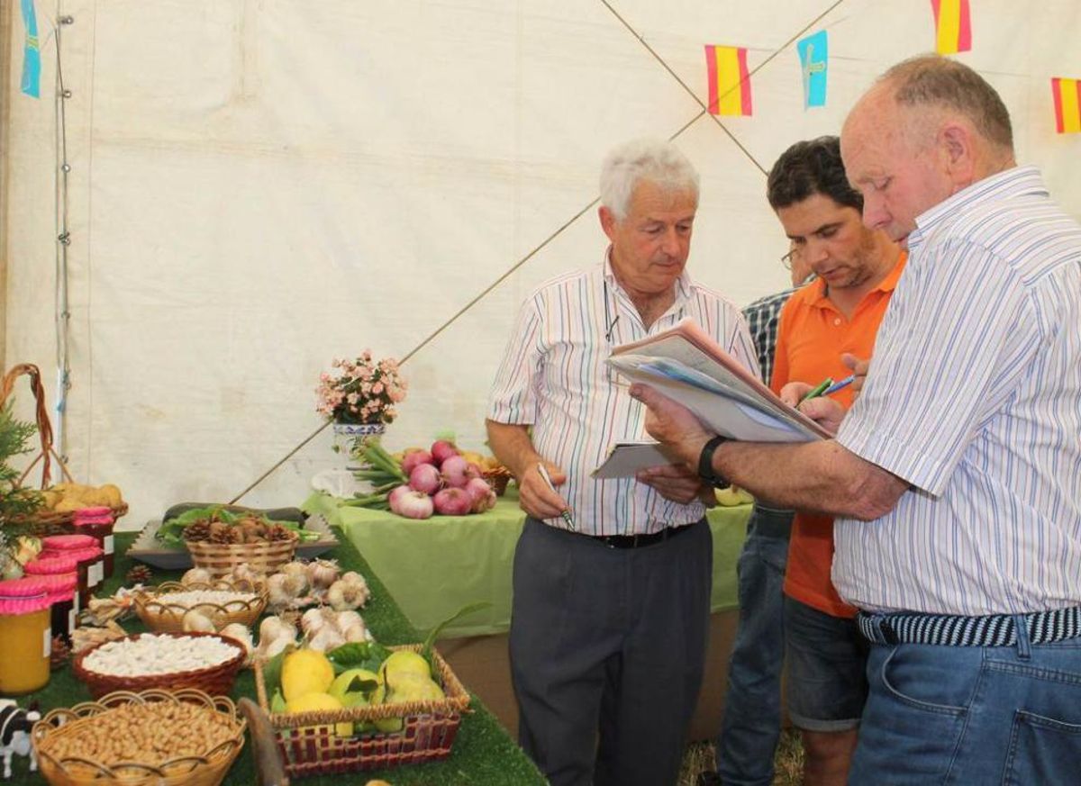 Fabes, patatas, cebollas y fréjoles, estrellas del certamen de El Valle