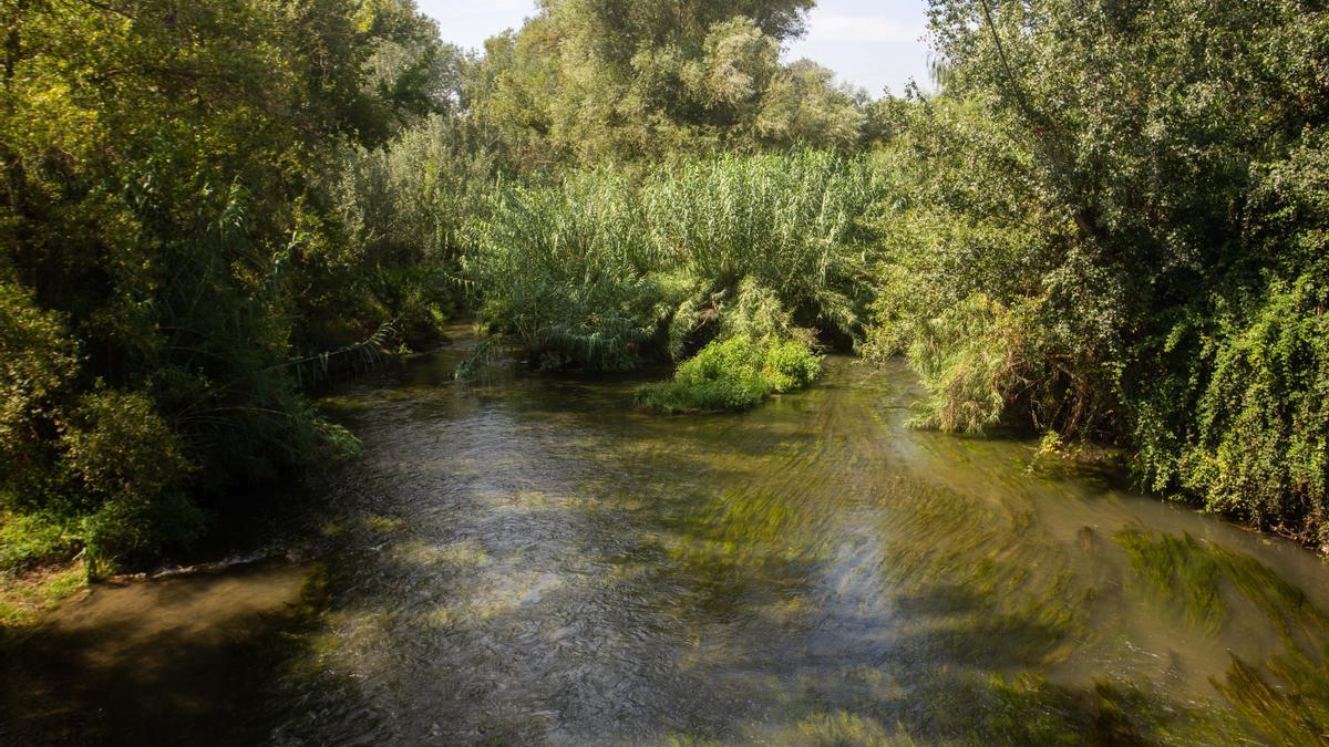 Parque fluvial del Túria entre Manises y Ribaroja