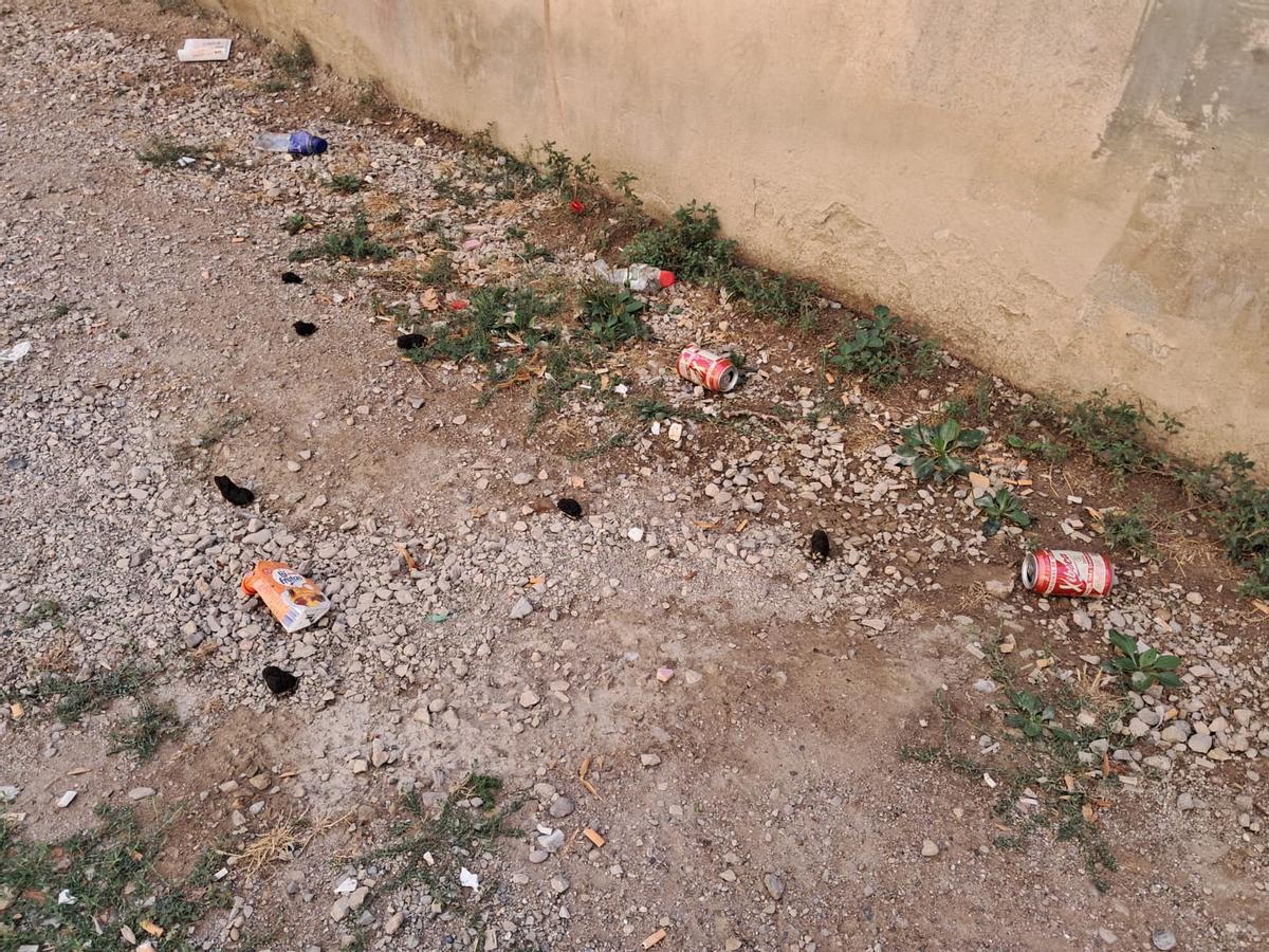 Queixes veïnals entorn de la Casa Caritat de Manresa per brutícia i incivisme Queixes veïnals entorn de la Casa Caritat de Manresa per brutícia i incivisme