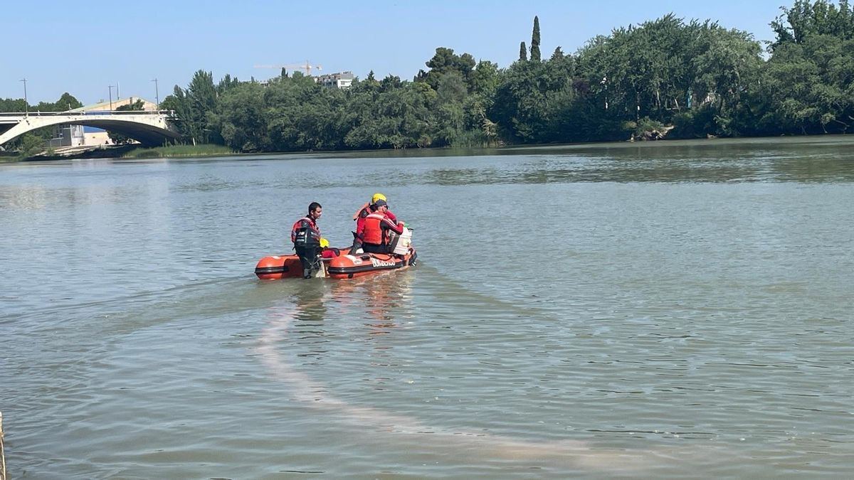 Tratamiento contra la mosca negra en el río Ebro a su paso por Zaragoza.