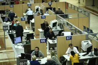 Más 'patanegras' para Canarias