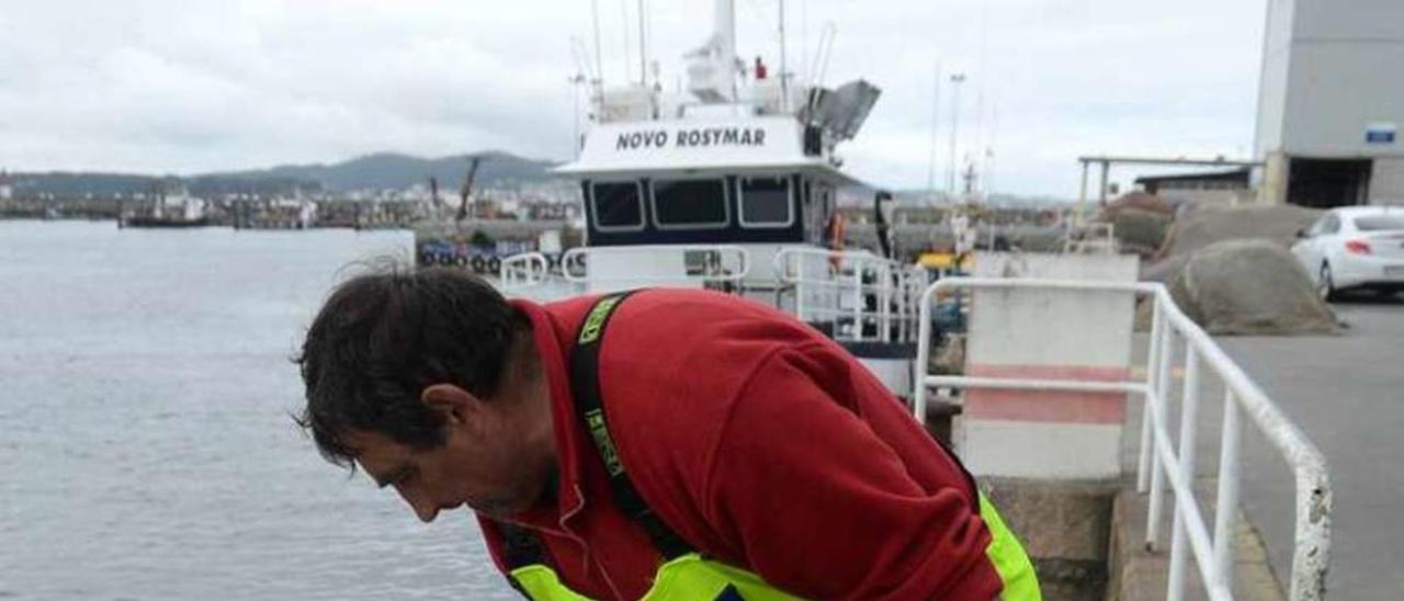 Descarga de pescado en el puerto de Cambados. // Noé Parga