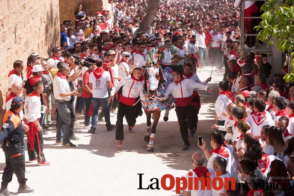 Carrera de los Caballos del Vino