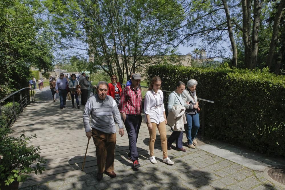 El Botánico celebra su 15 cumpleaños