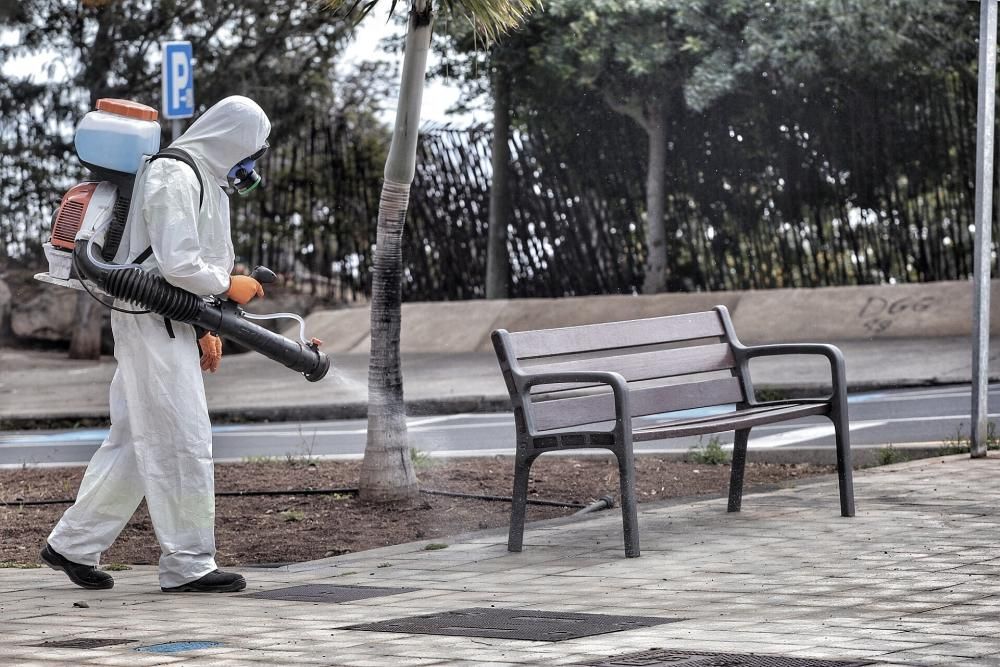 Tareas de limpieza en Santa Cruz de Tenerife