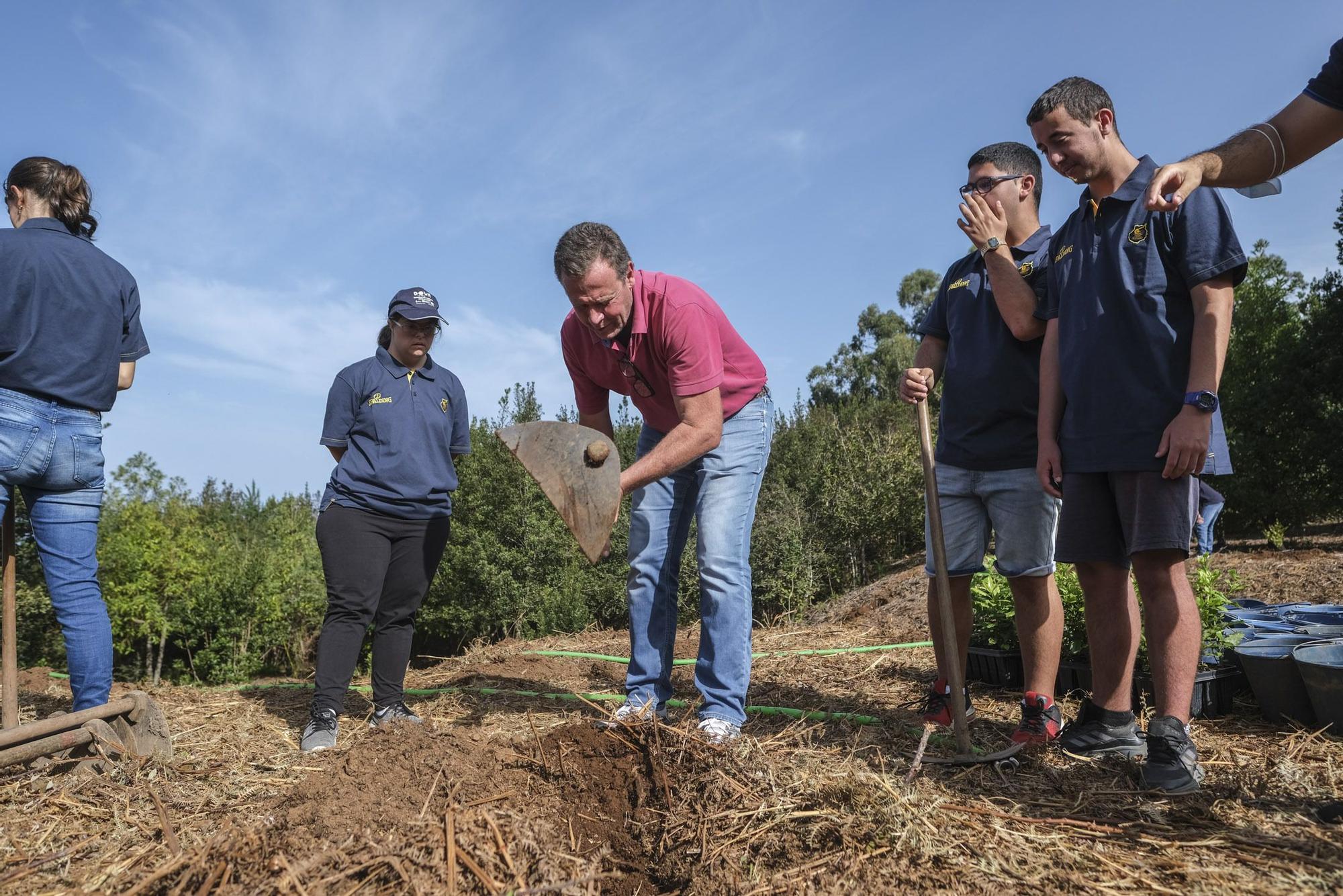 Reforestación 'Compromiso Granca'