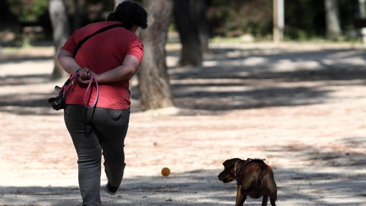 Una mujer pasea a su perro en Madrid.