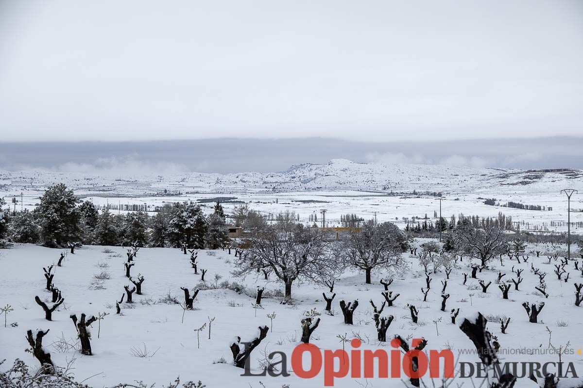 La comarca del Noroeste ofrece una estampa invernal