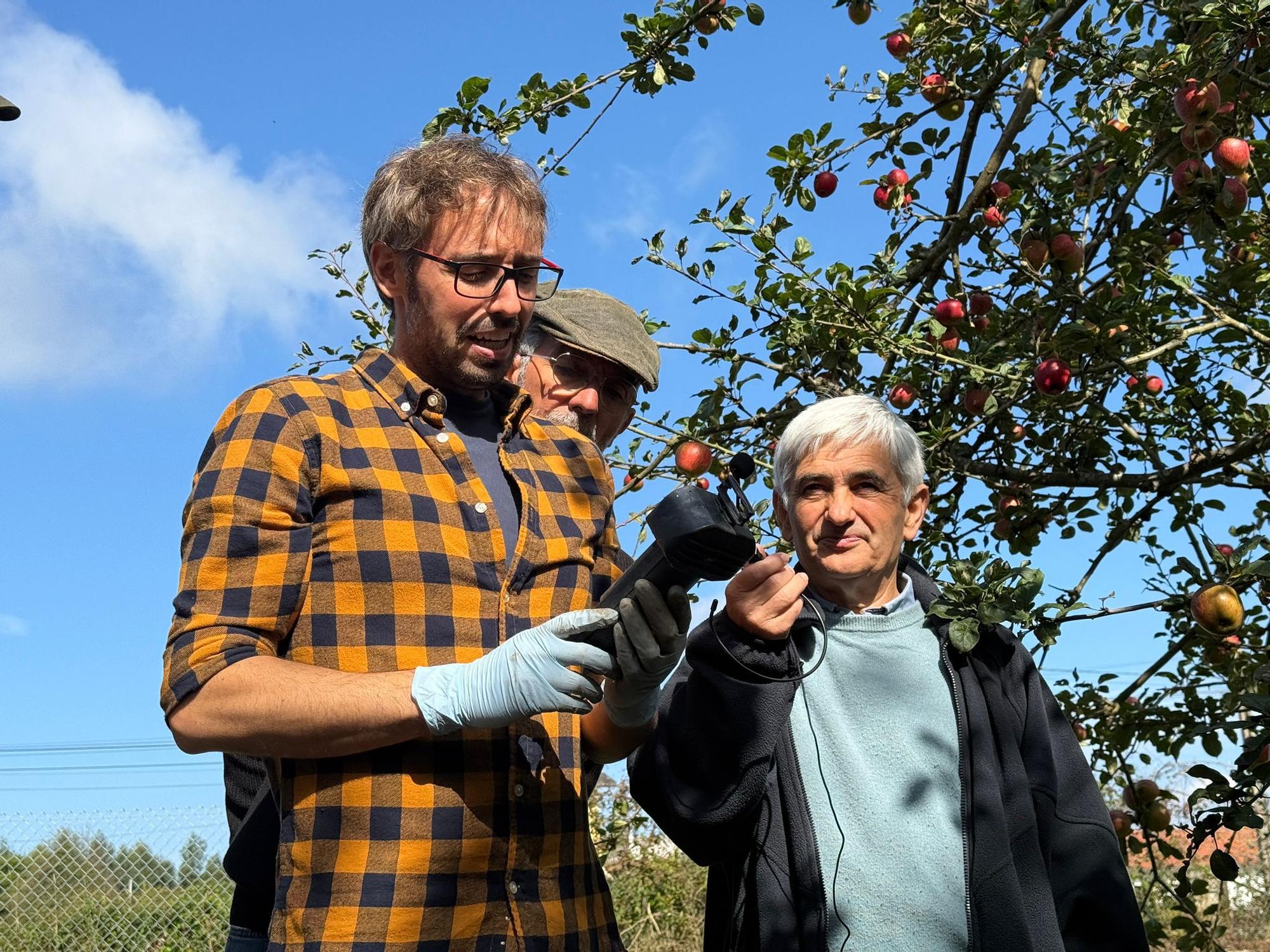 El SERIDA explica sobre el terreno las medidas de protección contra las plagas de roedores en pomaradas