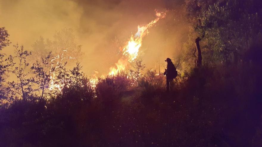 Revifa el foc de les Gavarres