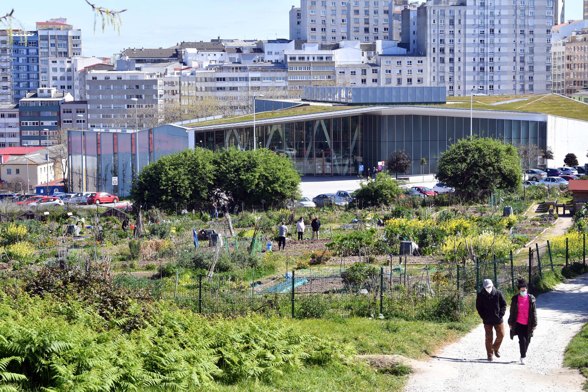 Huertos urbanos de A Coruña, un ocio saludable